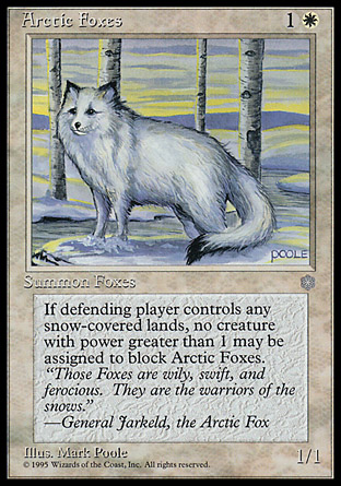 Arctic Foxes фото цена описание