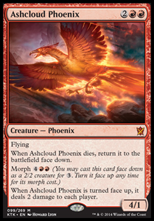 Ashcloud Phoenix фото цена описание
